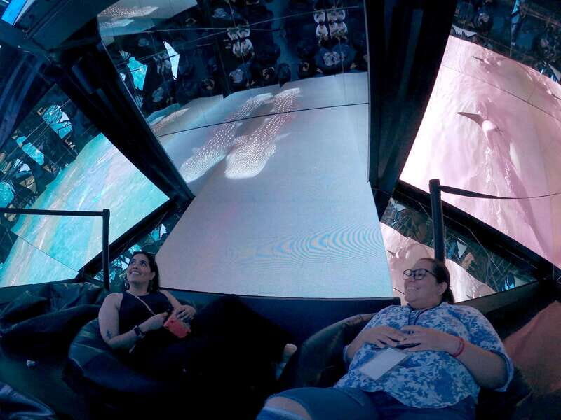 Mazatlán: MUNBA Interactive Ocean Museum Entry Ticket - What to Expect: A Typical Visit