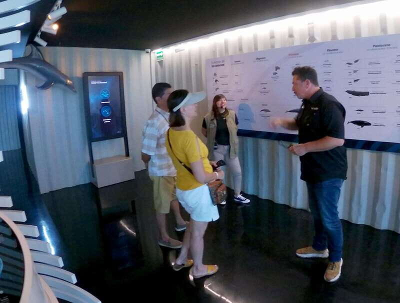 Mazatlán: MUNBA Interactive Ocean Museum Entry Ticket - Final Thoughts