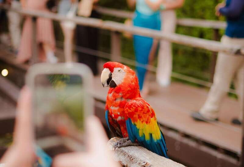 Mazatlán: Observatorio 1873 Cultural & Nature Experience - The Sum Up
