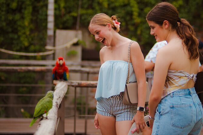 Mazatlan Observatorio 1873 Ticket and Pass - Value and Practical Tips