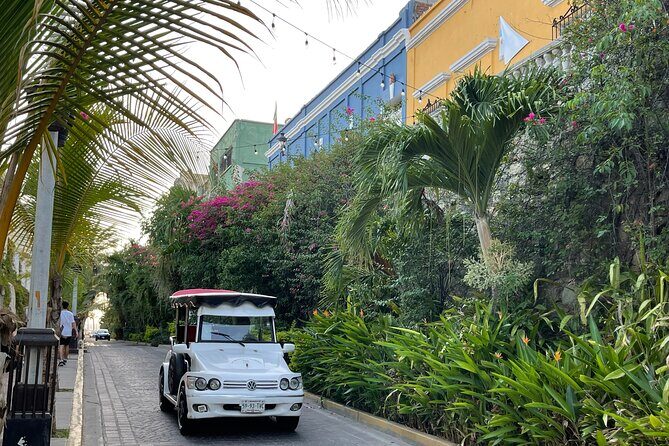 Mazatlan Pulmonia Experience - Key Points