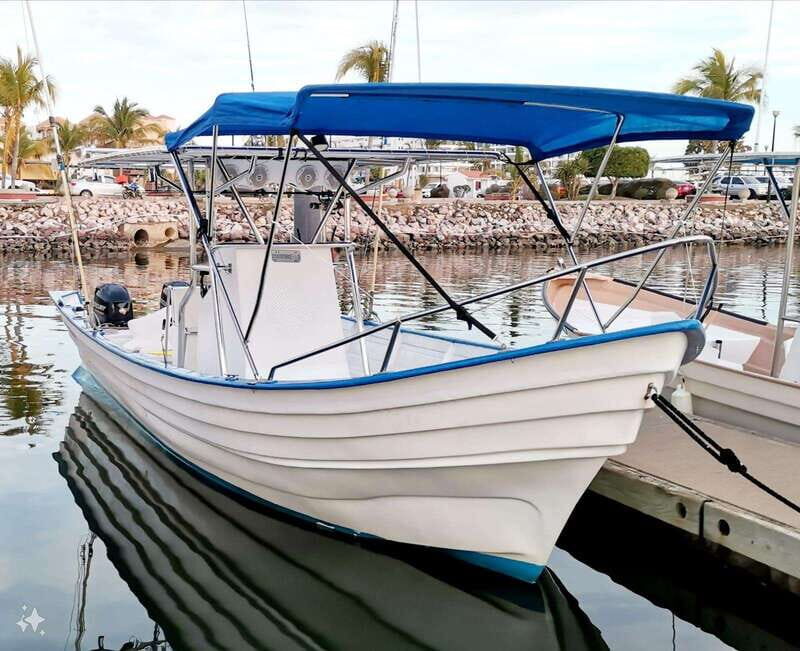 Mazatlan: Sea lions and snorkeling - Key Points