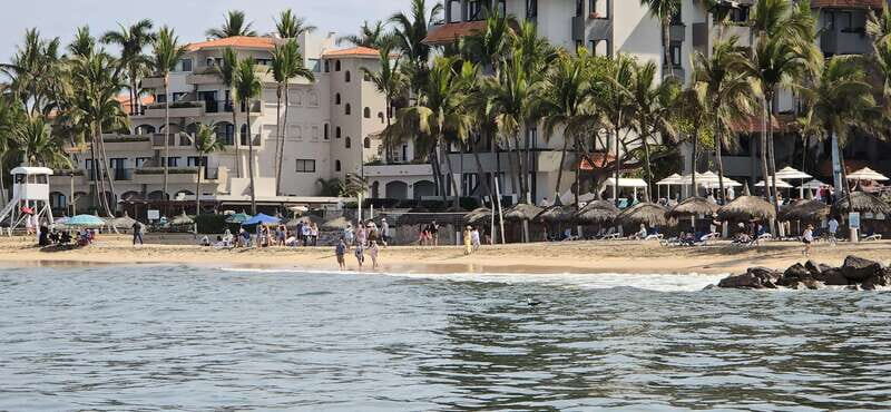 Mazatlan: Sea lions and snorkeling - The Sum Up