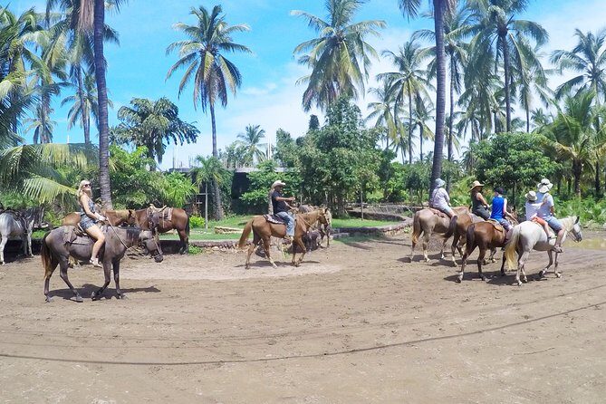 Mazatlan Sightseeing with Lunch and 2 Activities For up to 8 Passengers - Who Should Consider This Tour?