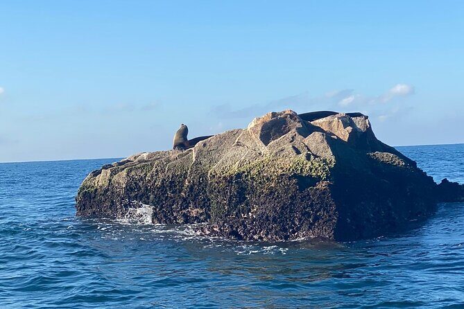 Mazatlan Sport Fishing Adventure - Who Would Love This Tour?