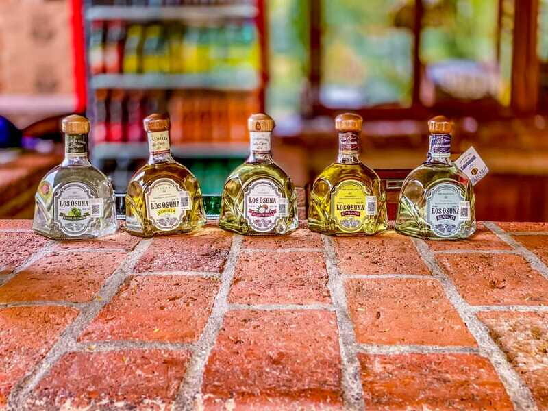 Mazatlán: Tequila Factory & Country Sightseeing - Areas for Improvement