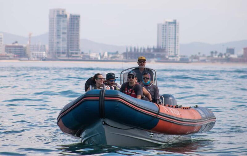 Mazatlán: Whale-Watching Boat Tour with Marine Experts - Key Points