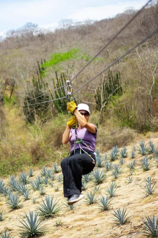 Mazatlán: Zipline Adventure & Distillery Tour with Pickup - Key Points