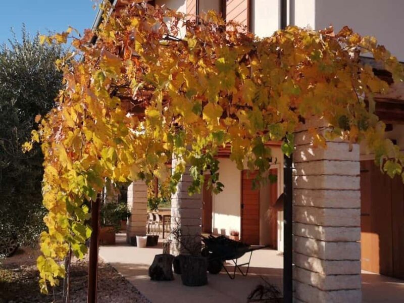 Mazzurega: Winery Tour with Tasting and Food Pairing - FAQ