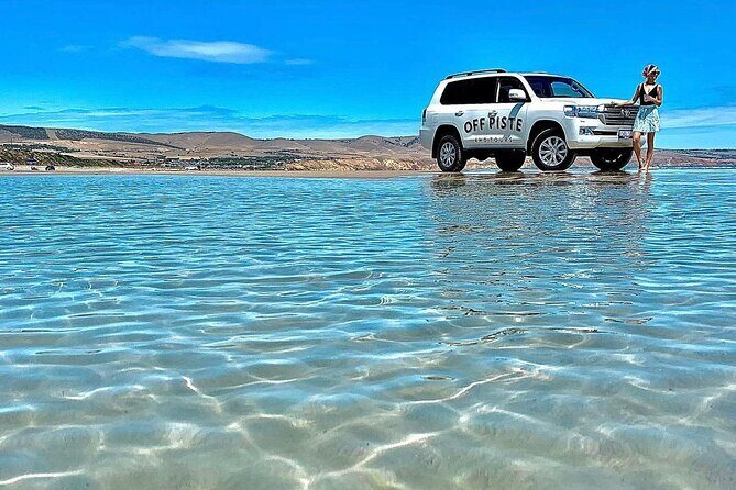 McLaren Vale 4x4 Premium Food and Wine Tour with Private Lunch - FAQ