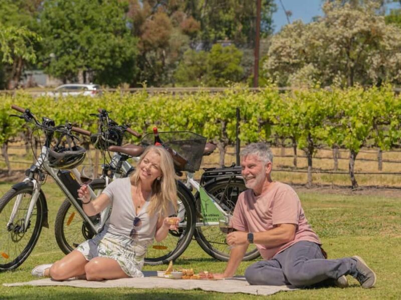 McLaren Vale: E-Bike Rental to Explore the Vineyards - Who Should Consider This Experience?