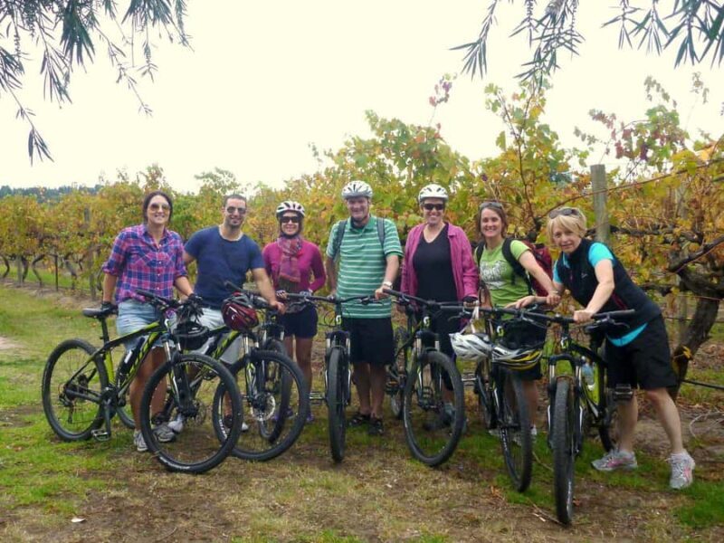 Mclaren Vale Hills Vines and Wines Bike Tour from Adelaide - Practical Details and Comfort