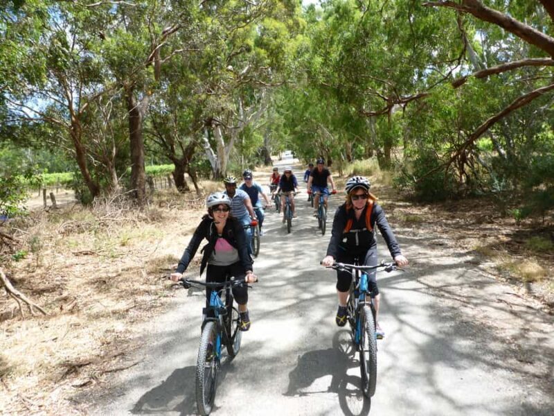 Mclaren Vale Hills Vines and Wines Bike Tour from Adelaide - What Past Participants Say