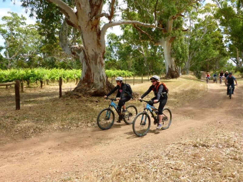 Mclaren Vale Hills Vines and Wines Bike Tour from Adelaide - Analyzing the Value