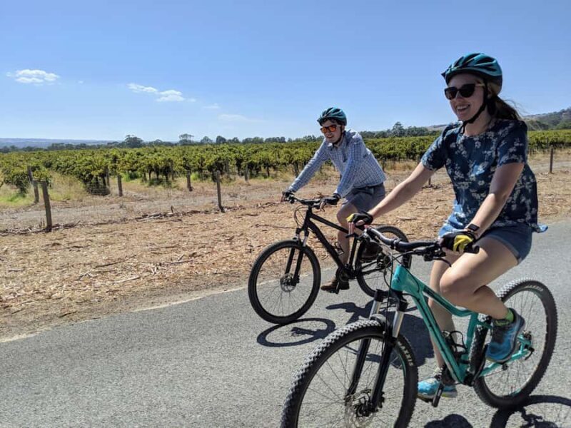 Mclaren Vale Hills Vines and Wines Bike Tour from Adelaide - Final Thoughts