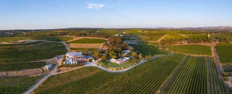 McLaren Vale North: Hop-On Hop-Off Tour - How the Day Unfolds