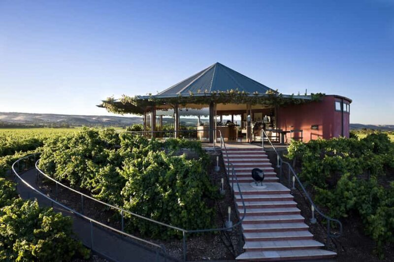 McLaren Vale North: Hop-On Hop-Off Tour - Analyzing the Value for Money