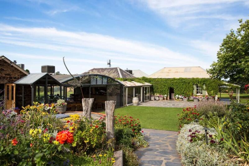 McLaren Vale North: Hop-On Hop-Off Tour - Who Would Love This Tour?