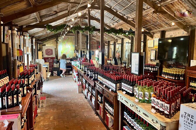 McLaren Vale Private Tour inc Premium Lunch & d'Arenberg Cube - Scenic Drive to McLaren Vale