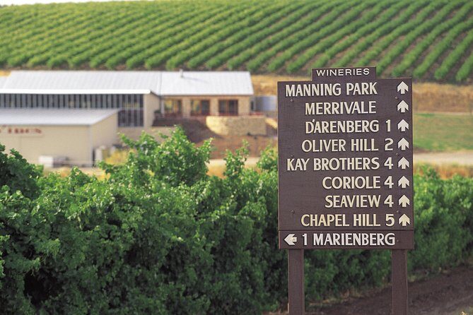 McLaren Vale Shiraz Trail Cycling Tour from Adelaide - Why This Tour Works for Travelers