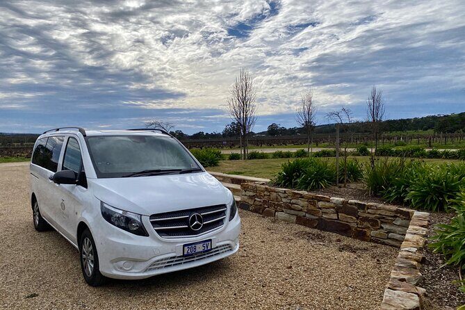 McLaren Vale Small Group Wine Tour inc d'Arenberg Cube & lunch - An Introduction to the Experience