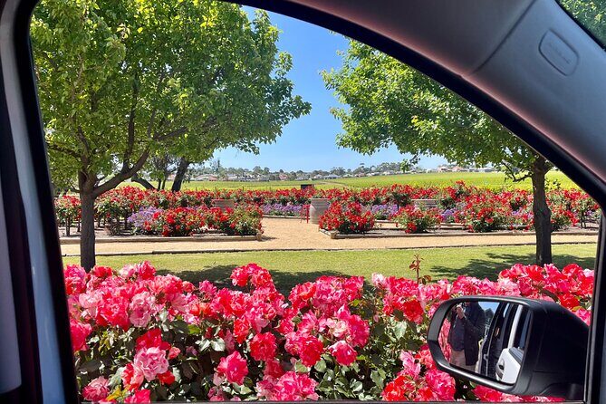 McLaren Vale Small Group Wine Tour inc d'Arenberg Cube & lunch - Who This Tour Is Best For