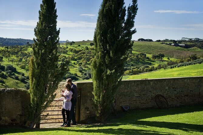 McLaren Vale Wine-Lover - Luxury Full Day Private Tour - The Itinerary Breakdown