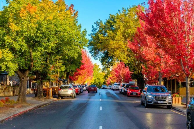 McLaren Vale Wine Region via Hahndorf Full-Day Tour from Adelaide - Final Thoughts