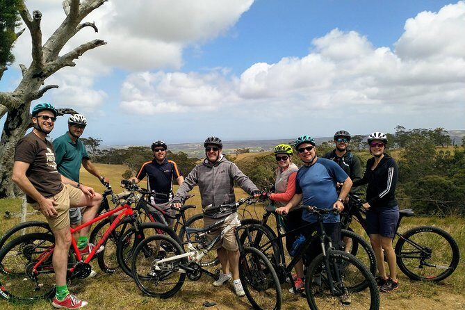 McLaren Vale Wine Tour by Bike - An In-Depth Look at the Tour Experience