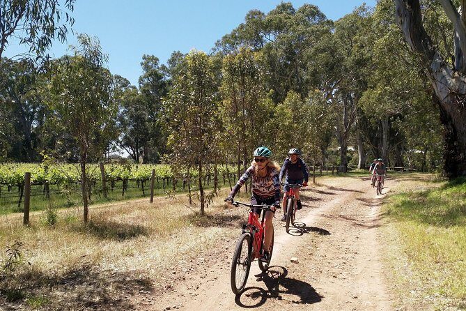 McLaren Vale Wine Tour by Bike - The Sum Up