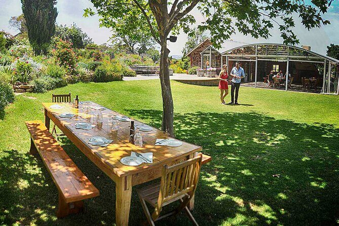McLaren Vale Winery Small Group Tour with Wine Tasting and Lunch - Key Points