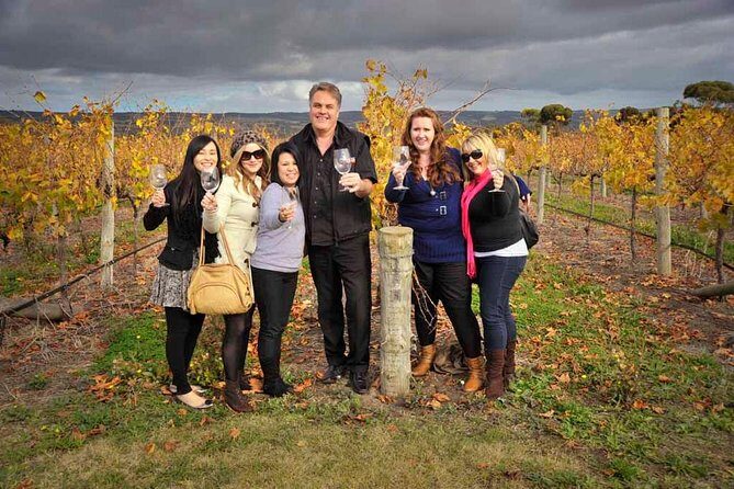 McLaren Vale Winery Small Group Tour with Wine Tasting and Lunch - Practical Details and Value