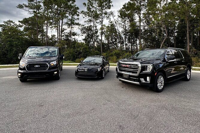 MCO To Orlando and Lake Buena Vista Area Hotels - Is This Transfer the Right Fit for You?