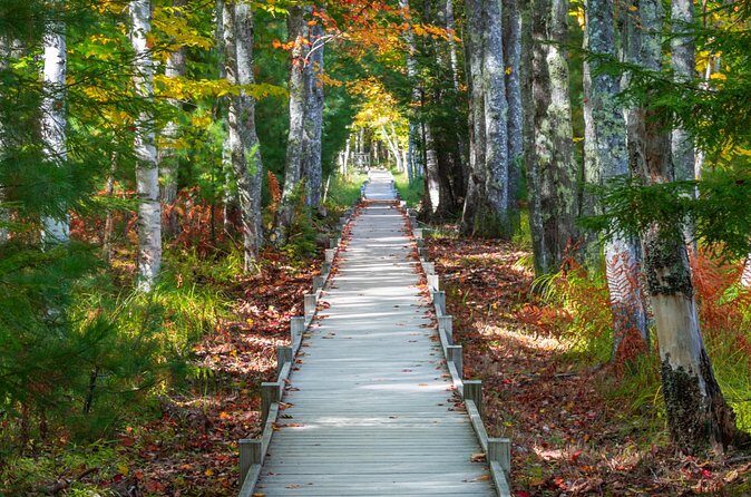 MDI Private Discovery Tour - Explore Beyond Acadia (five hours) - The Sum Up