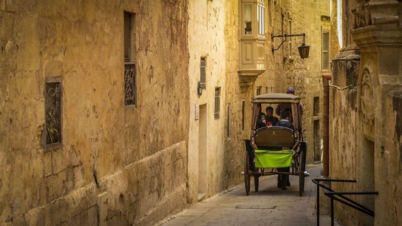 Mdina Private Walking Tour - Who Would Love This Experience?