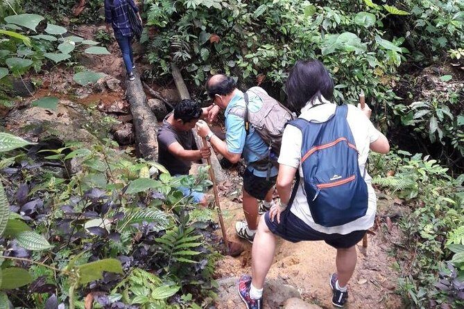 Medan - Bukit Lawang Fullday Tour - The Itinerary: A Closer Look
