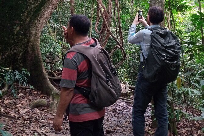 Medan - Bukit Lawang Fullday Tour - Who Will Love This Tour?