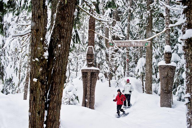 Medicine Trail Snowshoe Tour - The Experience in Detail