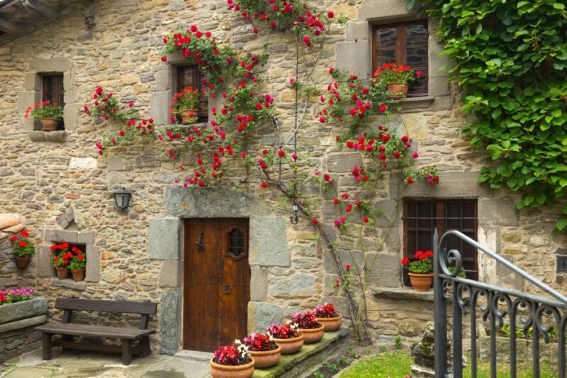 Medieval Towns of Catalonia Full-Day Car Trip from Barcelona - Who Will Love This Tour?