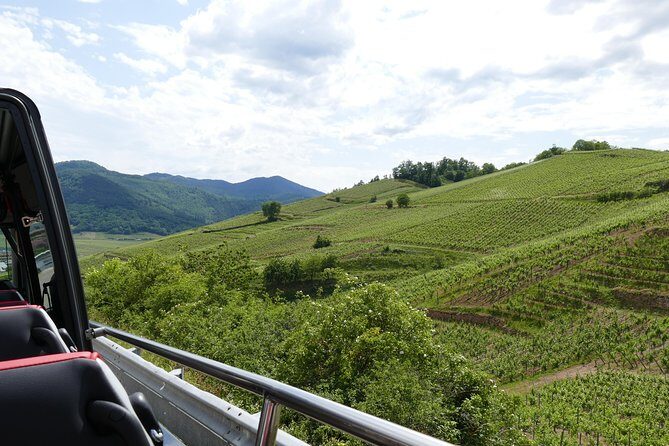 Medieval Villages and Wine Tasting from Strasbourg - Authentic Experiences and Viewer Favorites