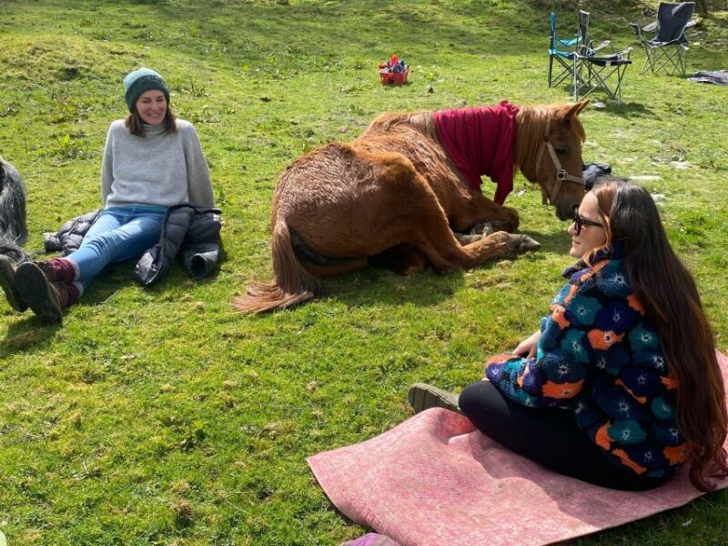 Meditate With Horses - Key Points