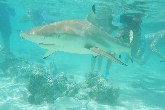 Medium Combo in Moorea of 2 hours of Jetski and 2h30 of Quad - How the Experience Feels in Practice