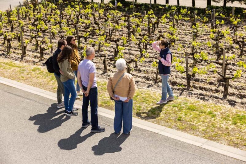 Medoc Afternoon Wine Tour, 2 Wineries, tastings & delicacies - The Experience in Detail