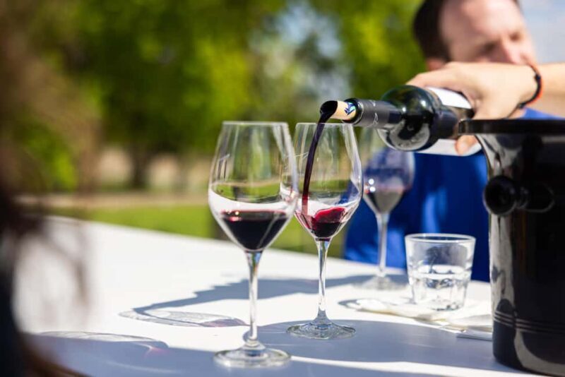 Medoc Afternoon Wine Tour, 2 Wineries, tastings & delicacies - The Value for Your Money