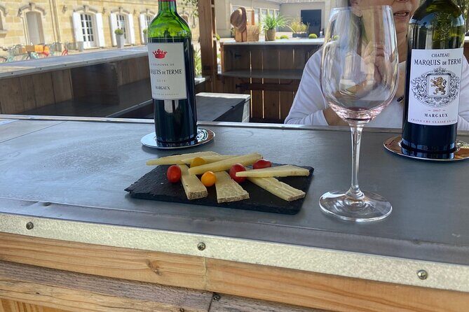 Medoc Afternoon Wine Tour - 2 Wineries, tastings & delicacies - Who Should Consider This Tour?