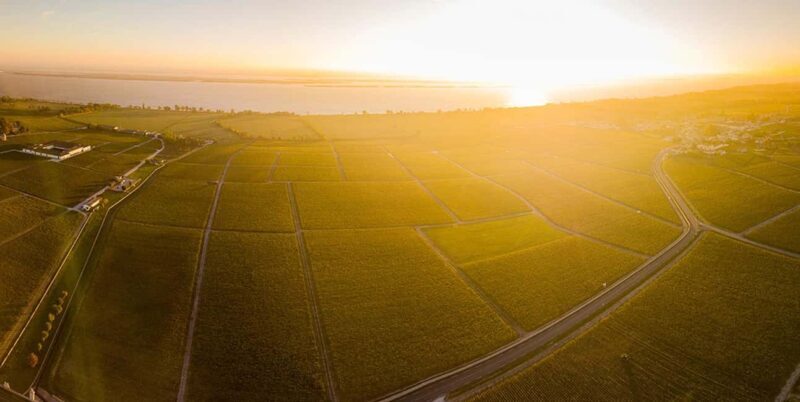 Medoc and Libournais (Left and right bank) - Frequently Asked Questions