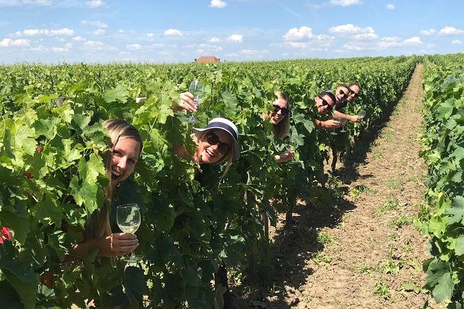 Medoc or Saint Emilion Wine Tasting and Chateau from Bordeaux - An In-Depth Look at the Tour Experience