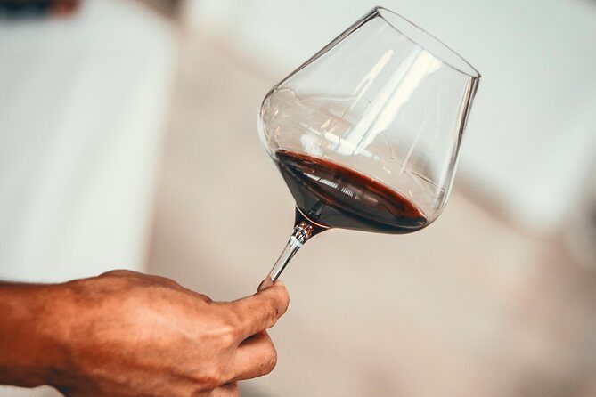Medoc Region Wine Day Trip with Vineyard Visits & Tastings from Bordeaux - Key Points