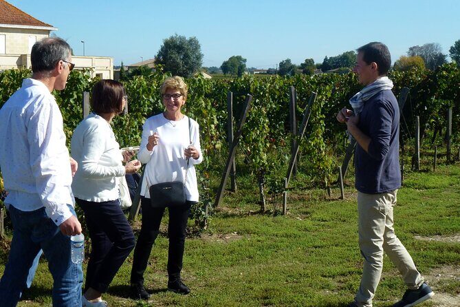 Medoc Region Wine Day Trip with Vineyard Visits & Tastings from Bordeaux - Authenticity & Overall Experience