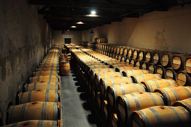 Medoc Region Wine Day Trip with Vineyard Visits & Tastings from Bordeaux - FAQs